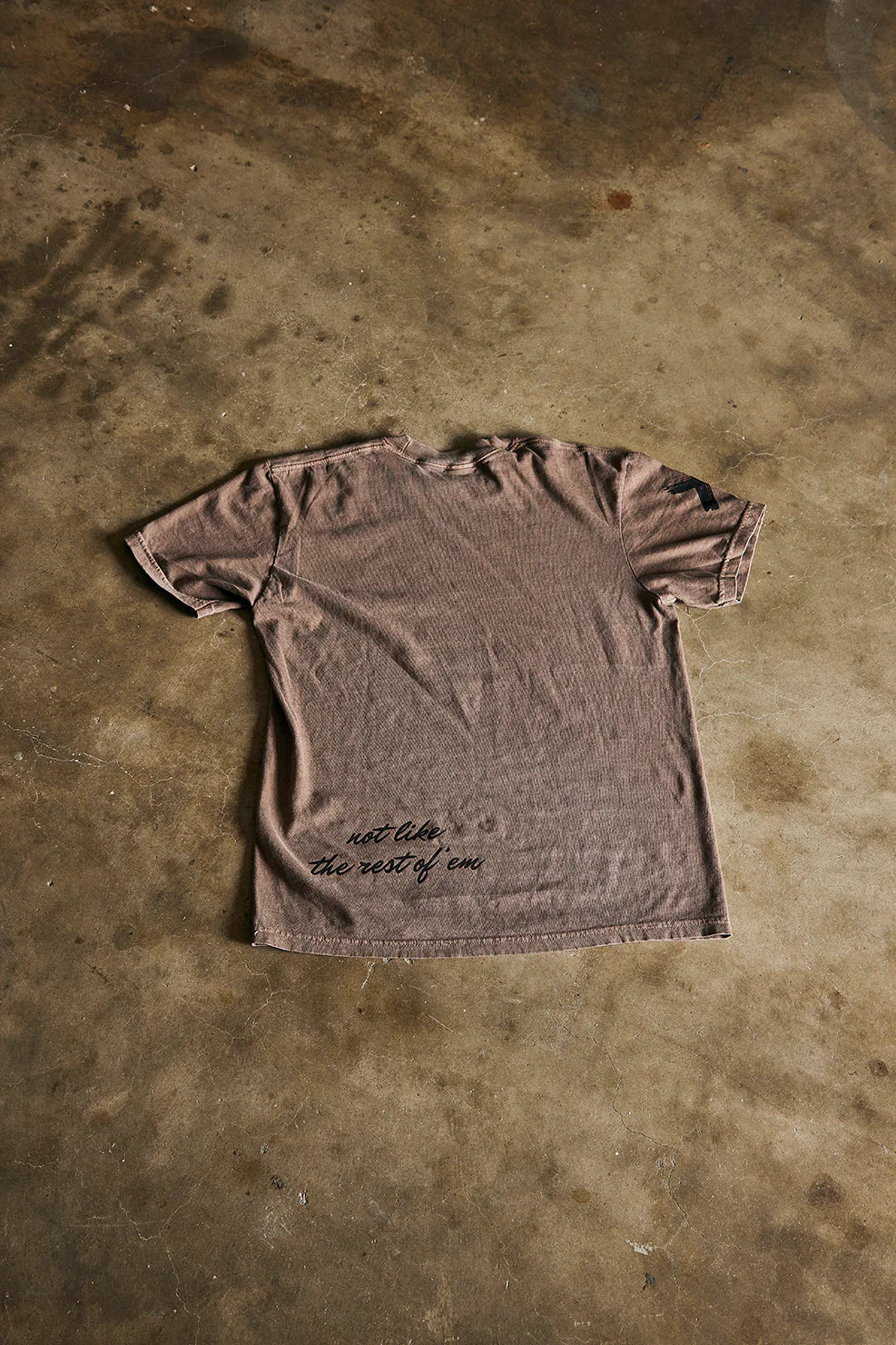 Darlin' HORSEMAN SHORT SLEEVE - BROWN