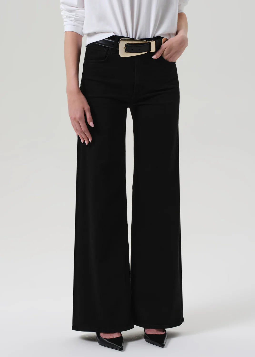 Citizens Of Humanity Lyra Long Wide Leg In Plush Black