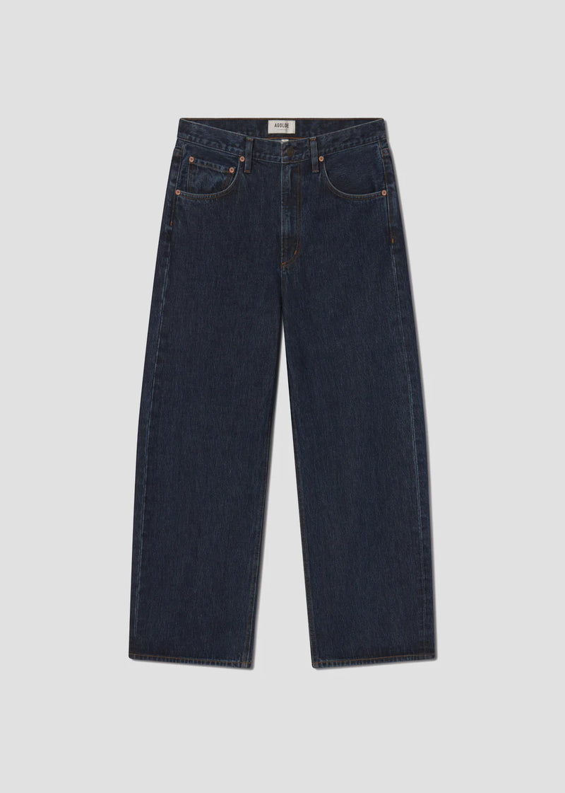 AGOLDE LOW CURVE JEAN IN PENDULUM