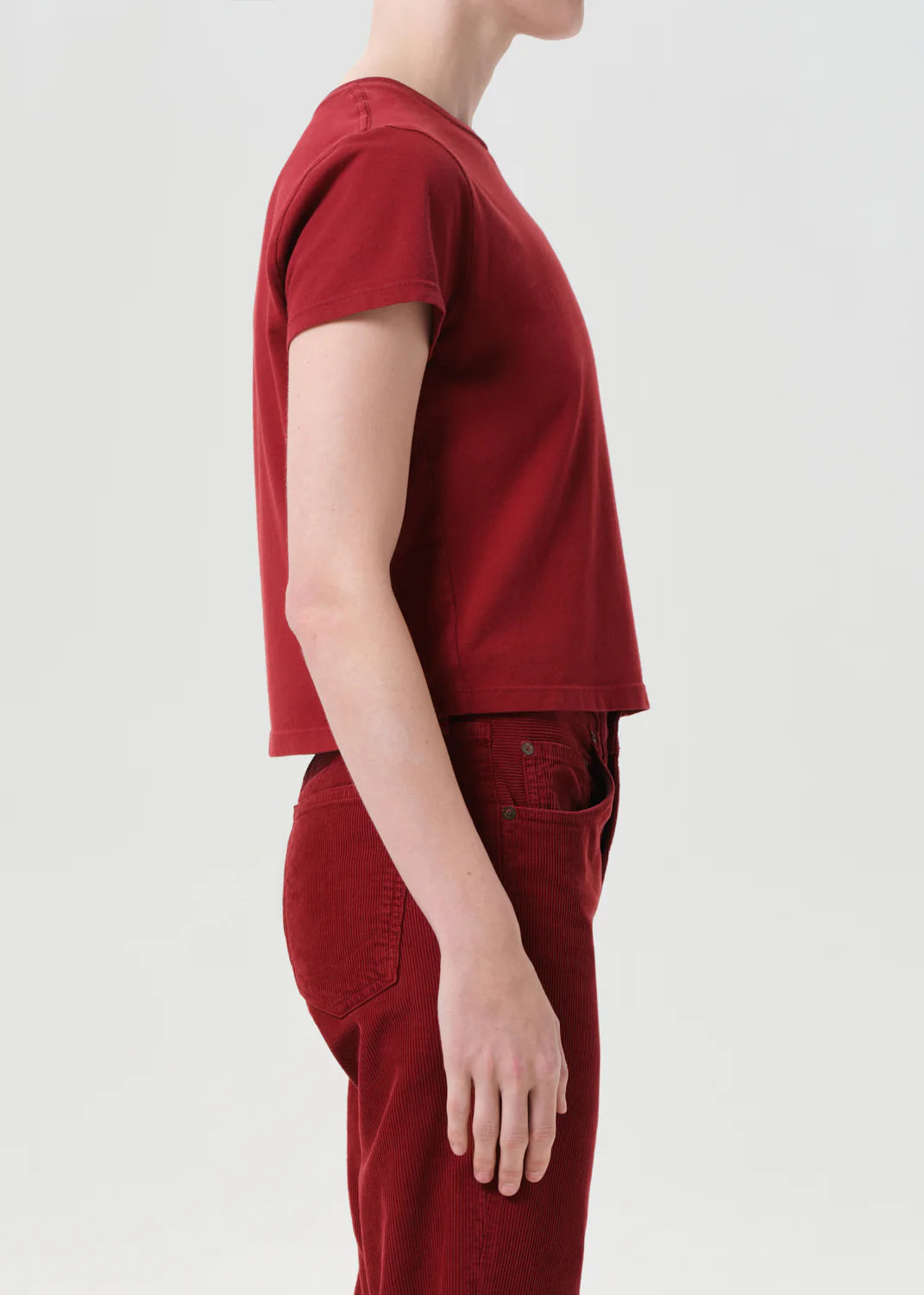 Agolde ADINE SHRUNKEN TEE IN BRICK