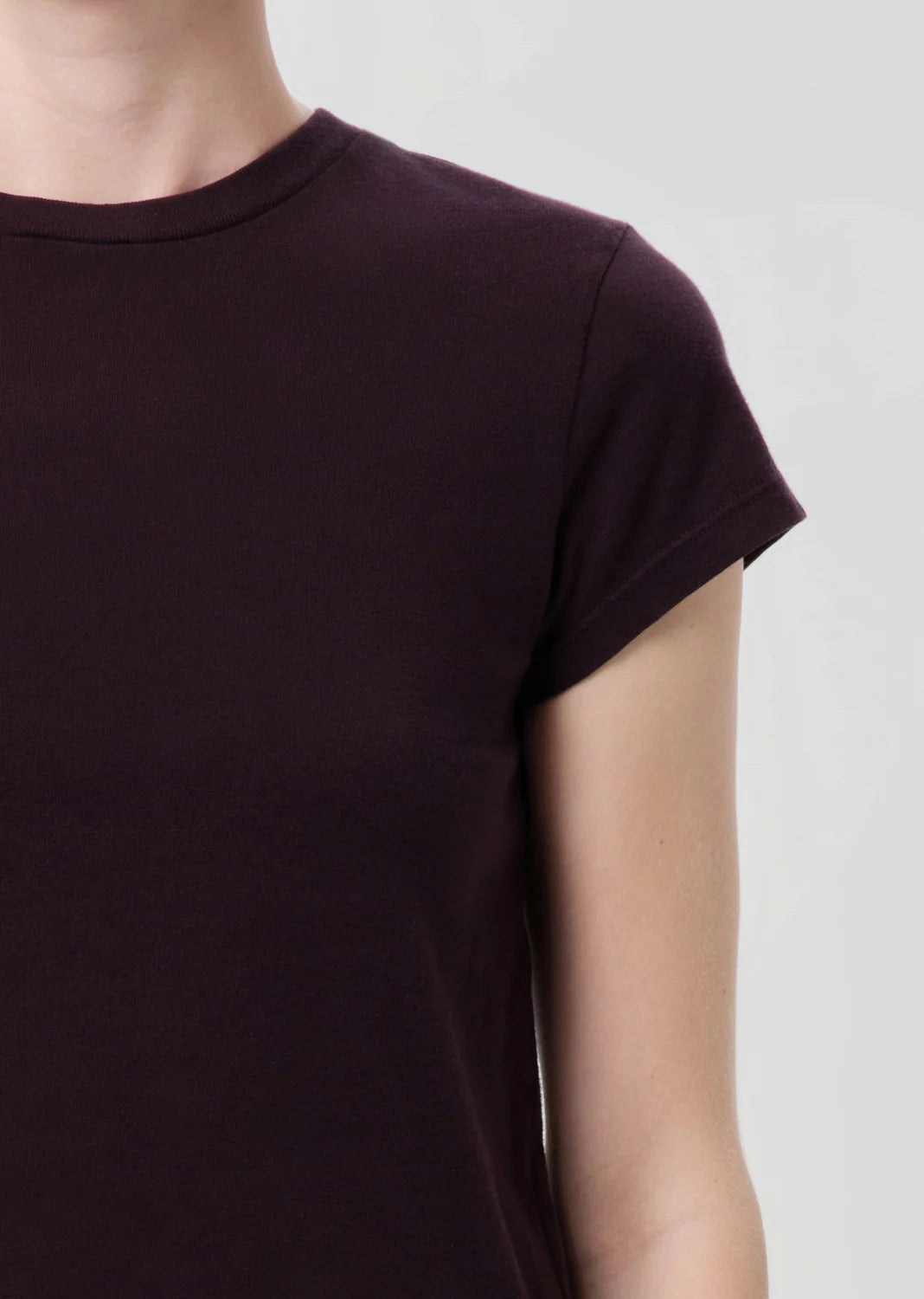 AGOLDE Adine Shrunken Tee In Eggplant