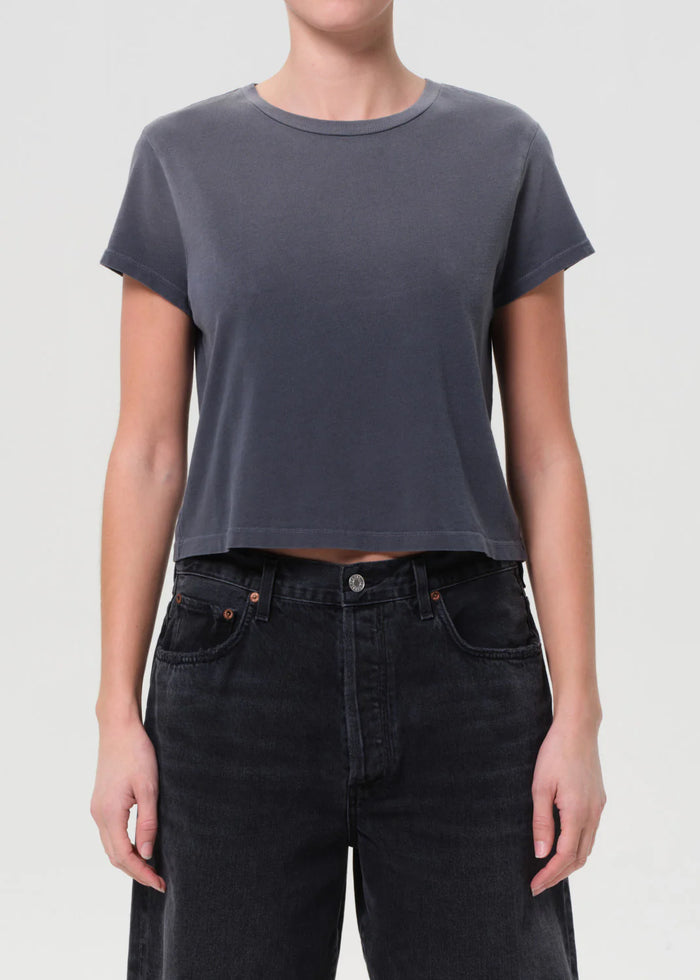 Agolde ADINE SHRUNKEN TEE IN WINDSTORM