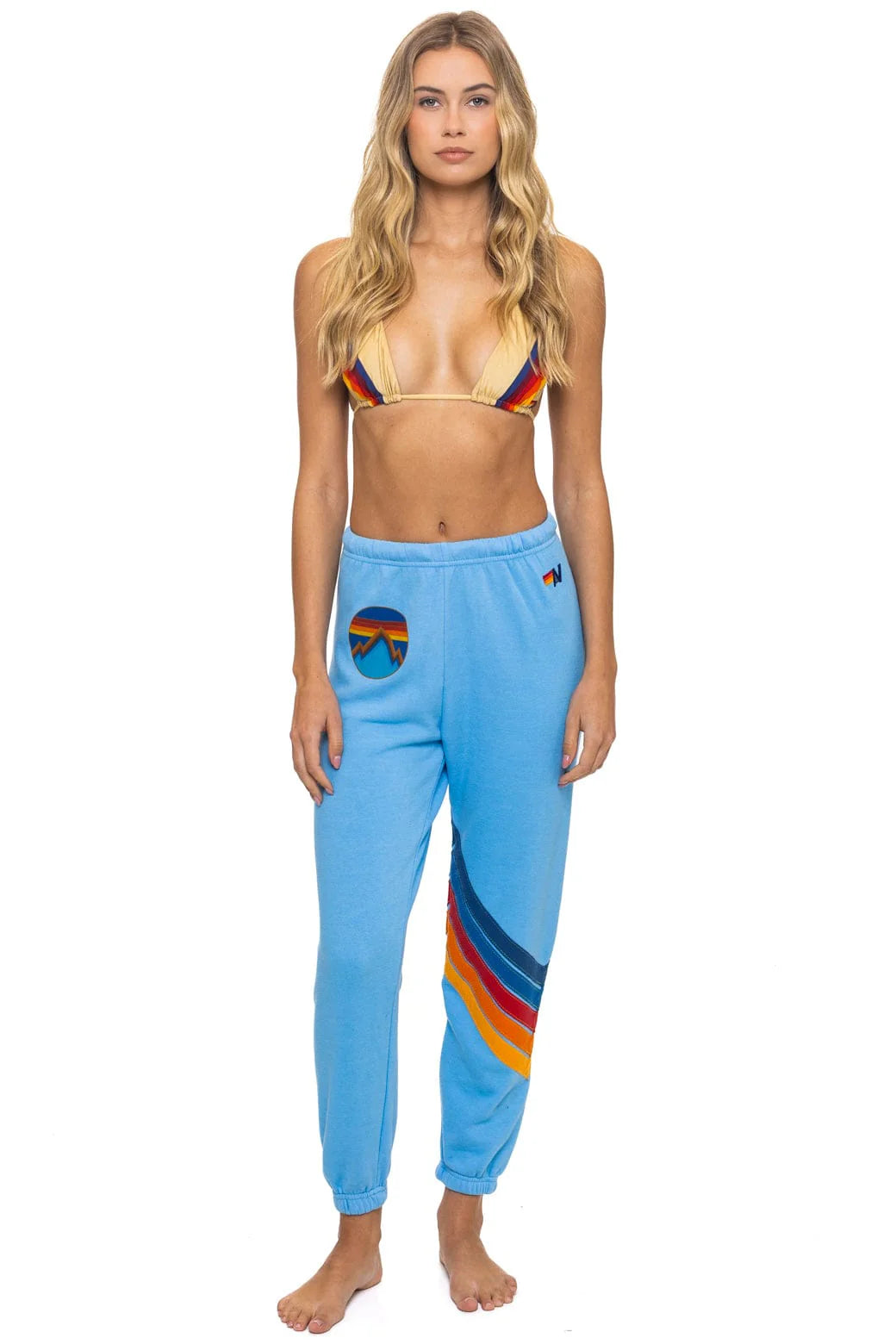 Aviator Nation ALL SEASONS CIRCLE CHEVRON SWEATPANTS - SKY