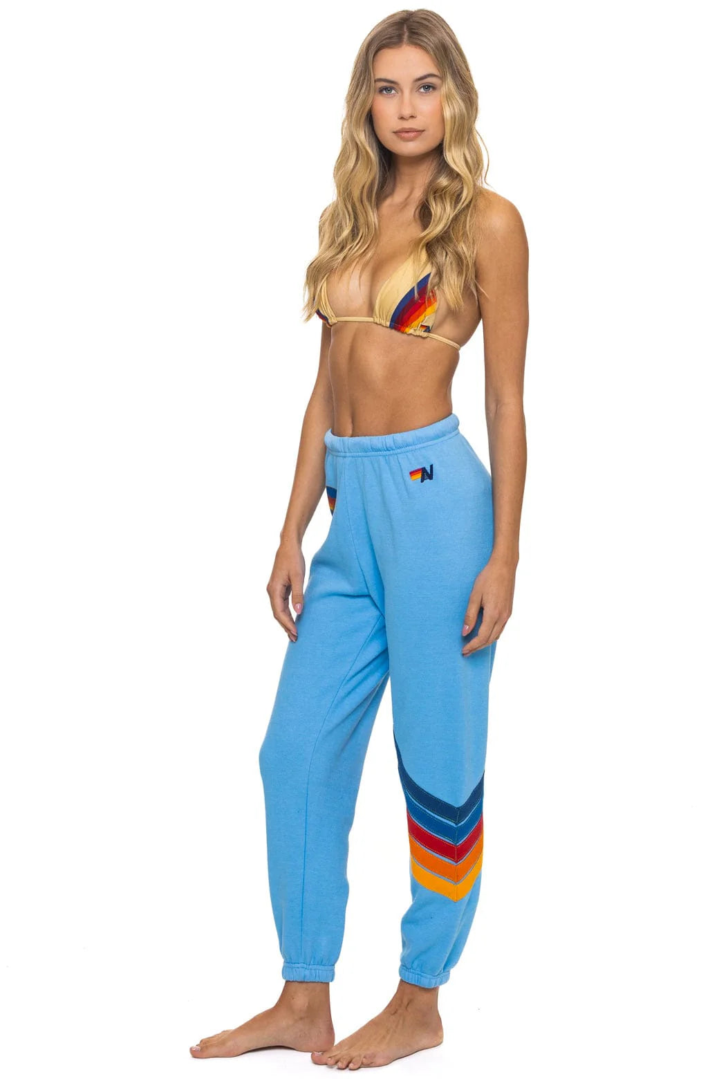 Aviator Nation ALL SEASONS CIRCLE CHEVRON SWEATPANTS - SKY