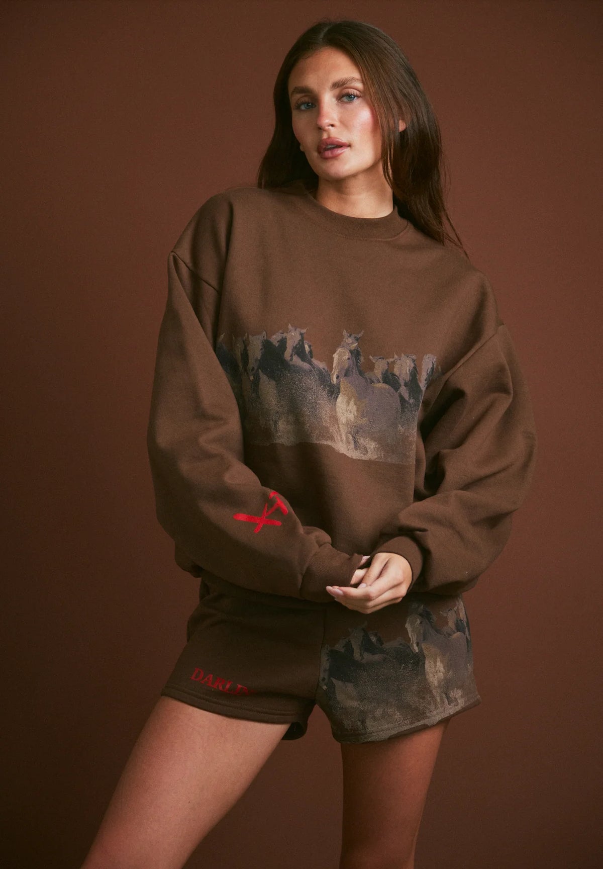 Darlin' WILD HORSE CREWNECK - TOBACCO