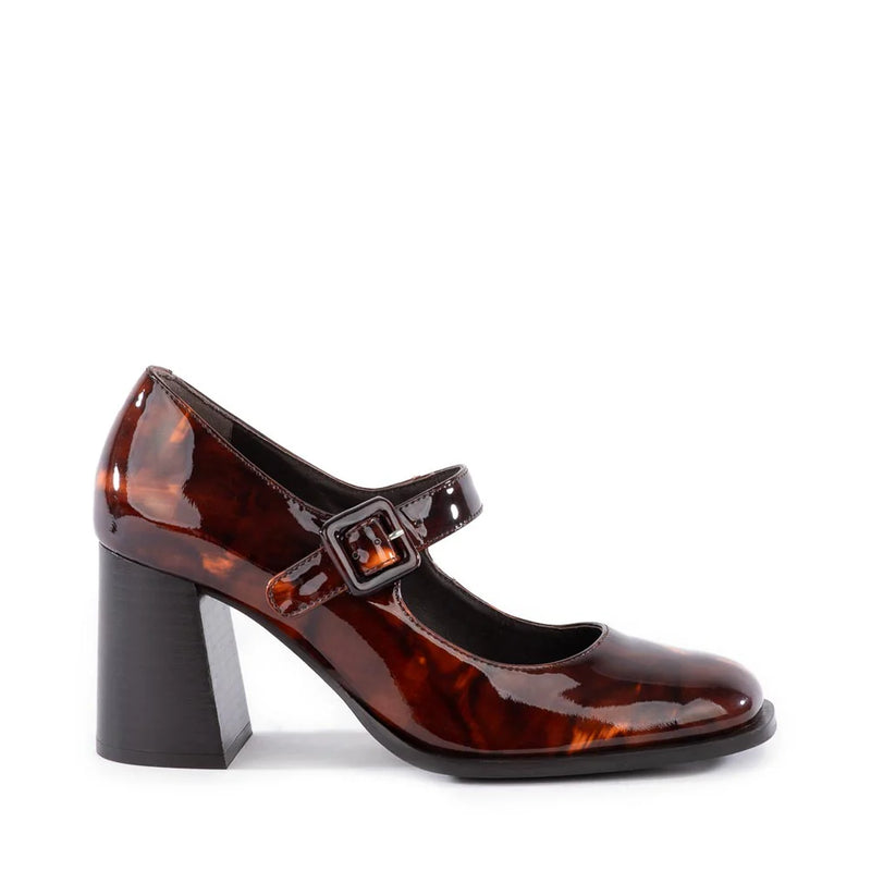 Seychelles Play Pretend Heel Brown Tortoise